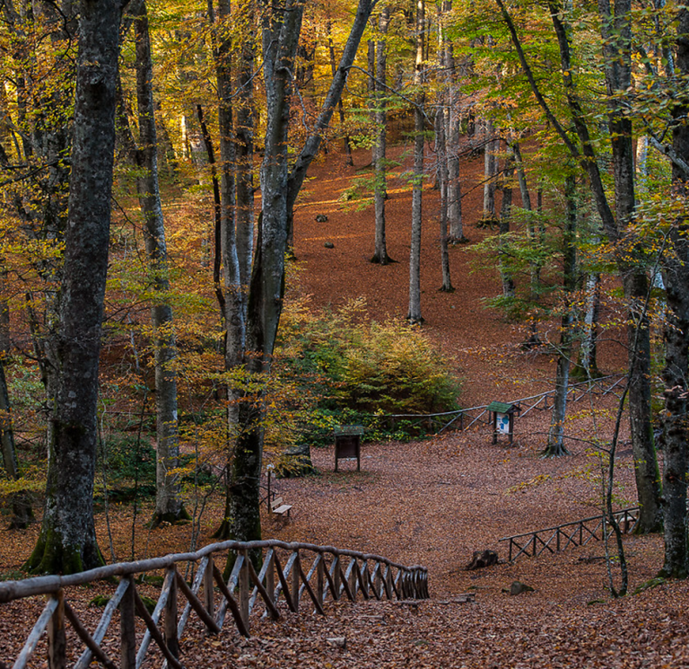 Monti Cimini, nella Tuscia