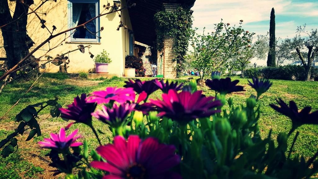  agriturismo a viterbo-con-centro-benessere