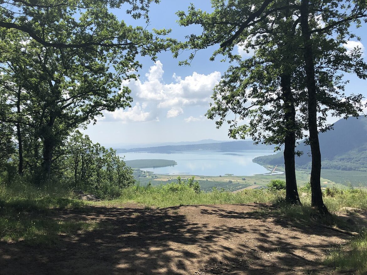 Panorama del Lago di Vico visto tra gli alberi, con i monti vulcanici della Tuscia sullo sfondo